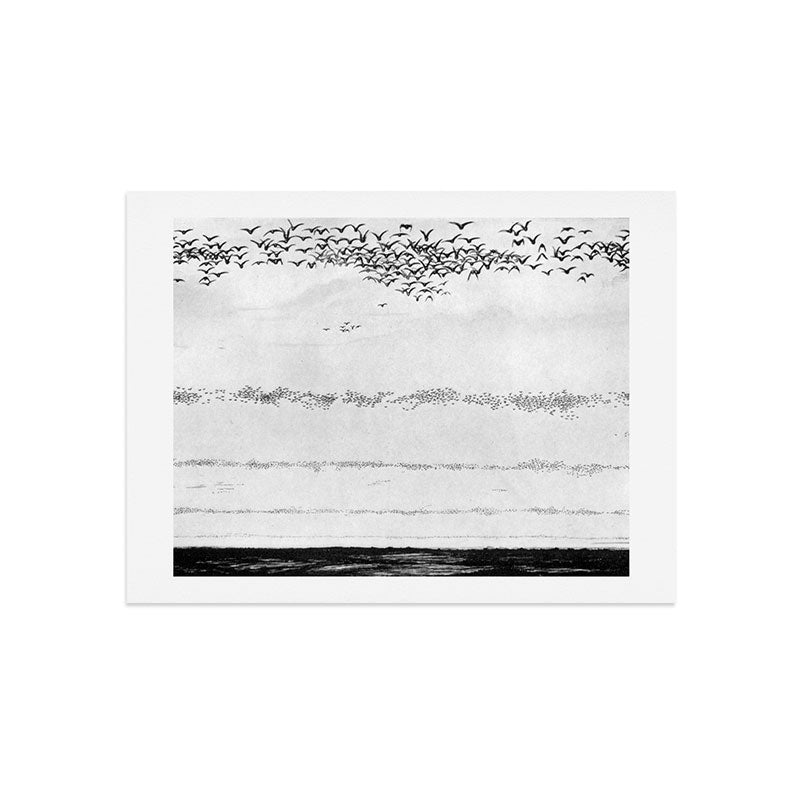 "The Later Flights of the Passenger Pigeon" by Frank Bond, 1920 (benefitting The Nature Conservancy) Art Print