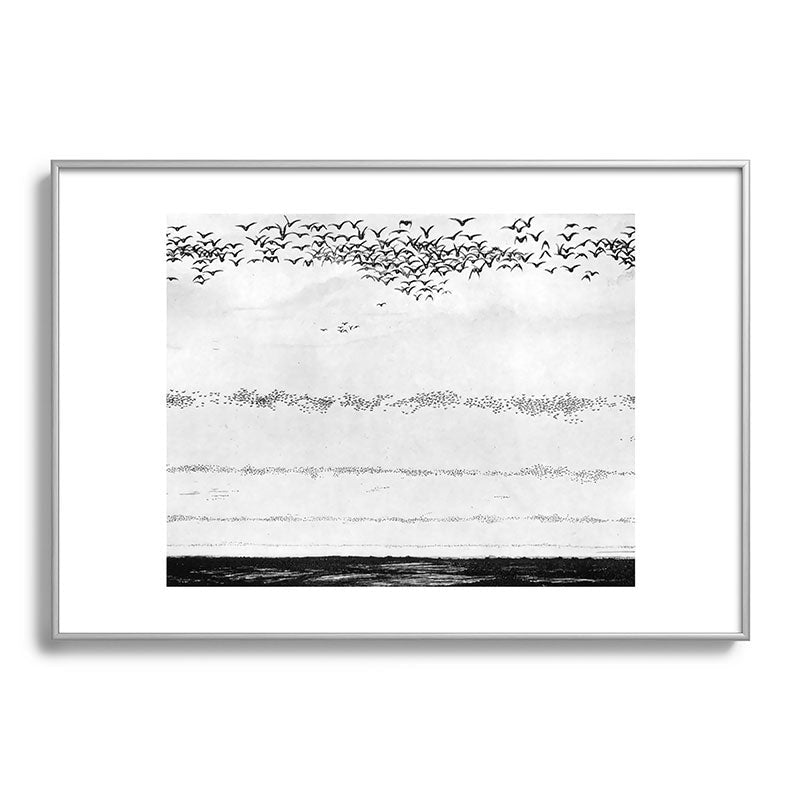 "The Later Flights of the Passenger Pigeon" by Frank Bond, 1920 (benefitting The Nature Conservancy) Framed Art Print