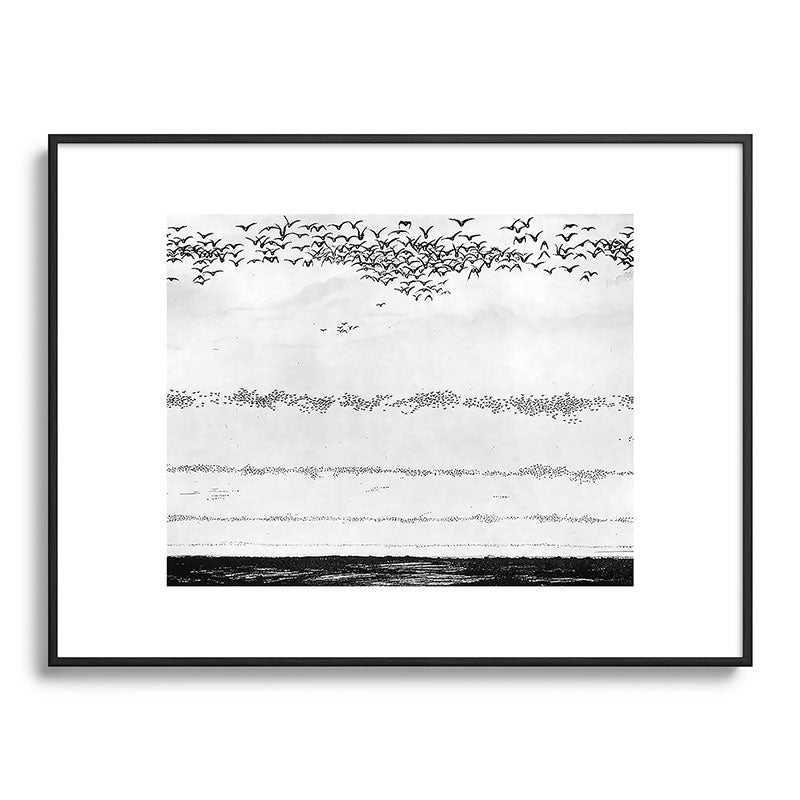 "The Later Flights of the Passenger Pigeon" by Frank Bond, 1920 (benefitting The Nature Conservancy) Framed Art Print