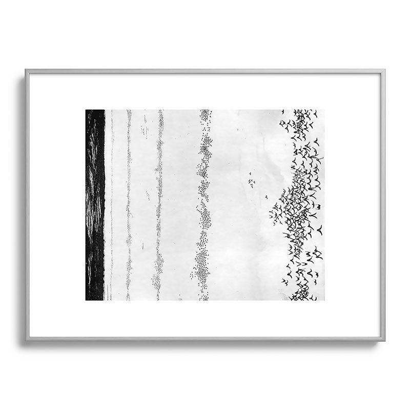 "The Later Flights of the Passenger Pigeon" by Frank Bond, 1920 (benefitting The Nature Conservancy) Framed Art Print