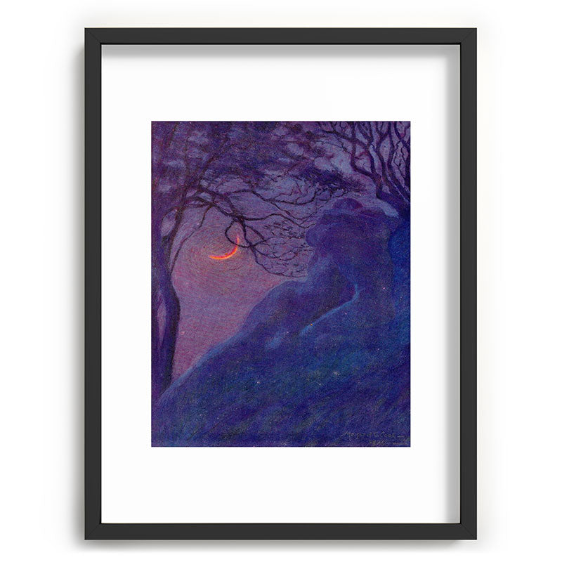 "We have voided all but freedom and all but our own joy" (Margaret C. Cook, Leaves of Grass, 1913) Framed Art Print