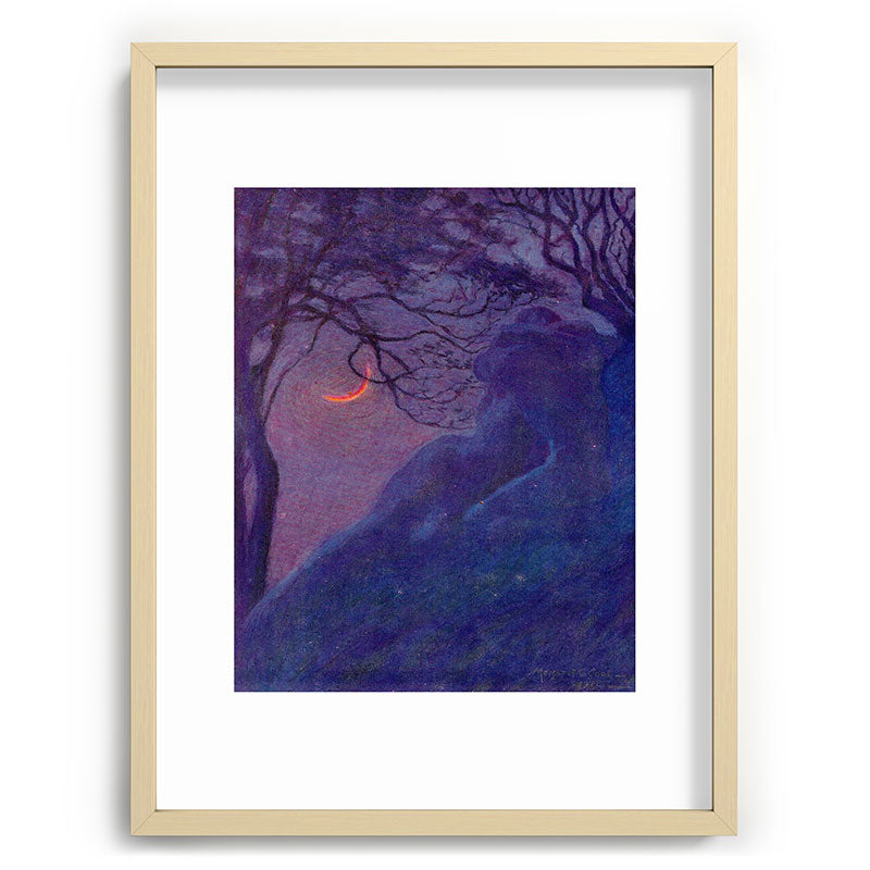 "We have voided all but freedom and all but our own joy" (Margaret C. Cook, Leaves of Grass, 1913) Framed Art Print