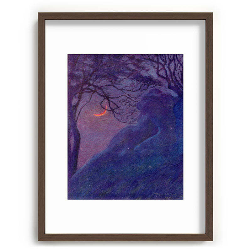 "We have voided all but freedom and all but our own joy" (Margaret C. Cook, Leaves of Grass, 1913) Framed Art Print