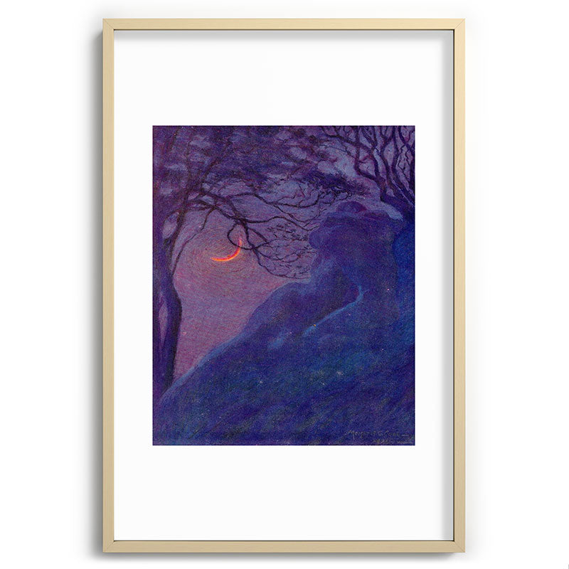 "We have voided all but freedom and all but our own joy" (Margaret C. Cook, Leaves of Grass, 1913) Framed Art Print