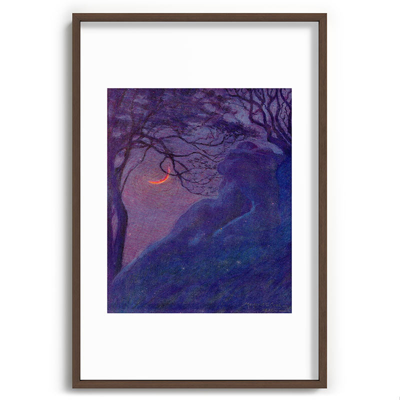 "We have voided all but freedom and all but our own joy" (Margaret C. Cook, Leaves of Grass, 1913) Framed Art Print