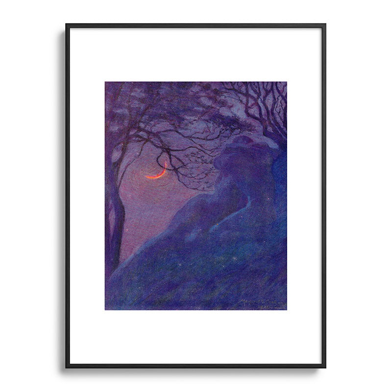 "We have voided all but freedom and all but our own joy" (Margaret C. Cook, Leaves of Grass, 1913) Framed Art Print