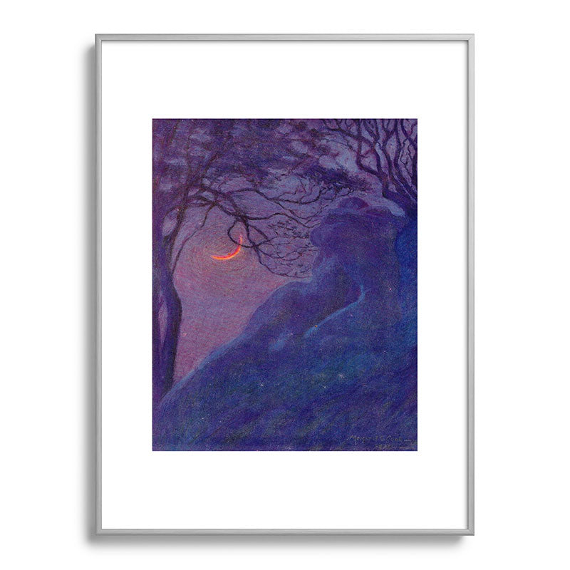 "We have voided all but freedom and all but our own joy" (Margaret C. Cook, Leaves of Grass, 1913) Framed Art Print