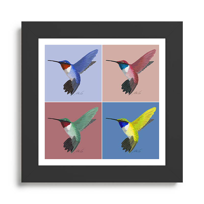 05 Blue, Red, Green, Yellow Hummingbird Framed Art Print
