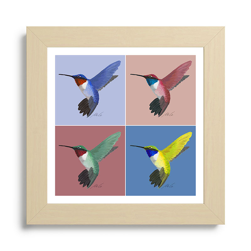 05 Blue, Red, Green, Yellow Hummingbird Framed Art Print