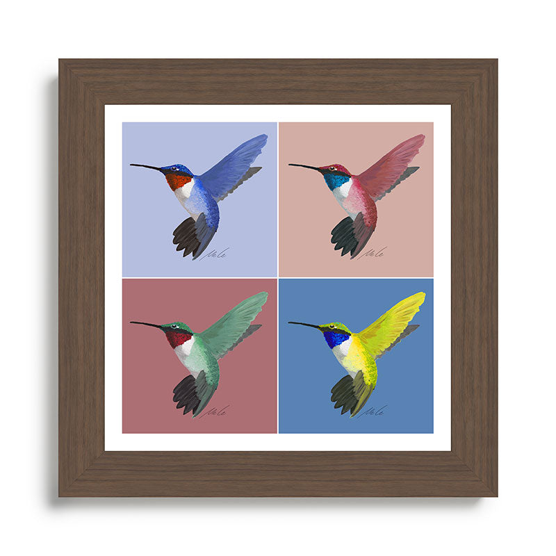 05 Blue, Red, Green, Yellow Hummingbird Framed Art Print