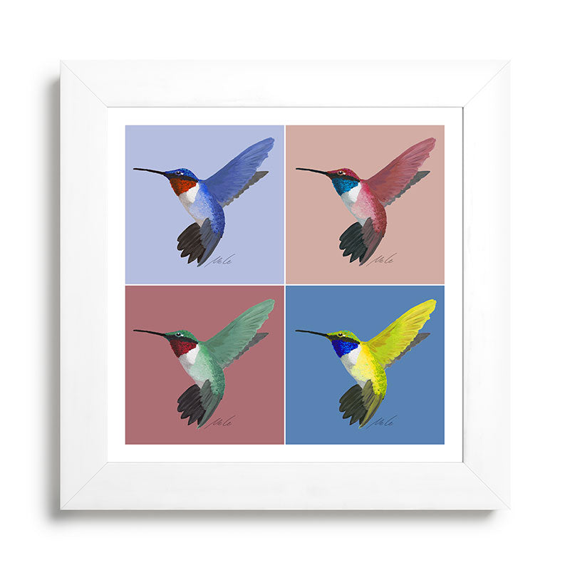 05 Blue, Red, Green, Yellow Hummingbird Framed Art Print