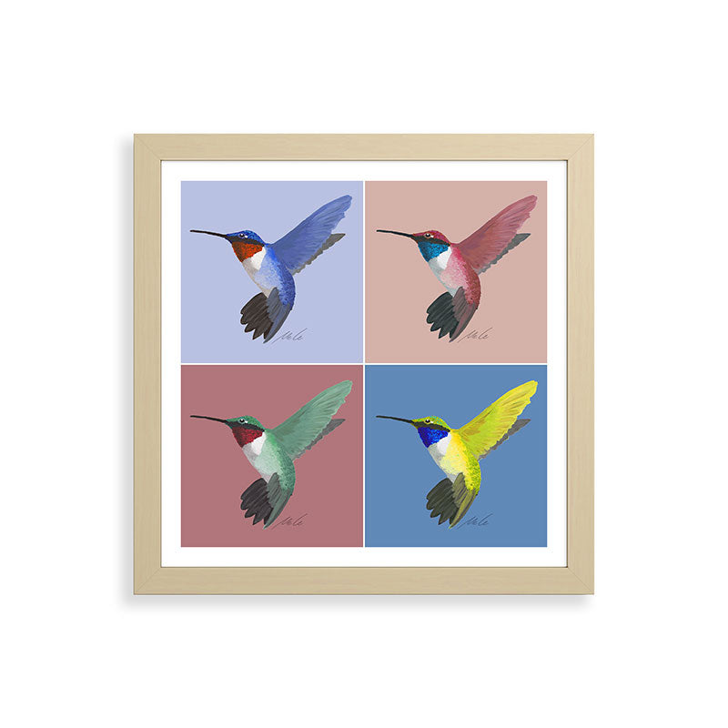 05 Blue, Red, Green, Yellow Hummingbird Framed Art Print
