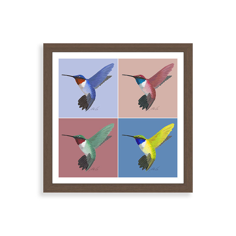 05 Blue, Red, Green, Yellow Hummingbird Framed Art Print