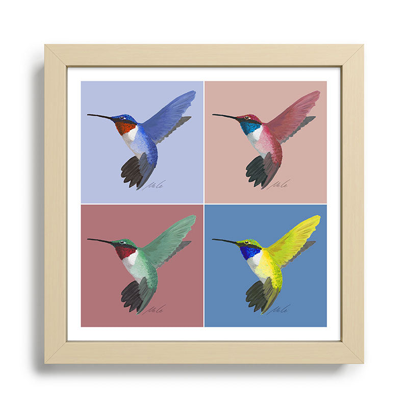 05 Blue, Red, Green, Yellow Hummingbird Framed Art Print