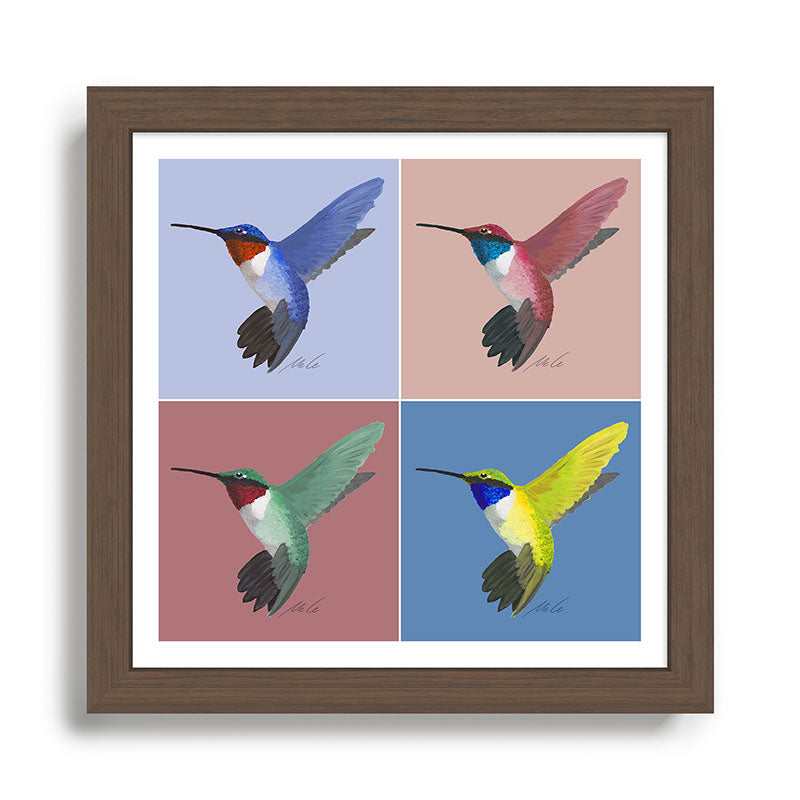 05 Blue, Red, Green, Yellow Hummingbird Framed Art Print