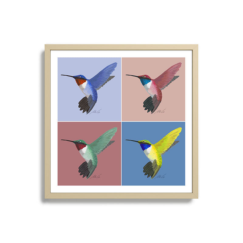 05 Blue, Red, Green, Yellow Hummingbird Framed Art Print
