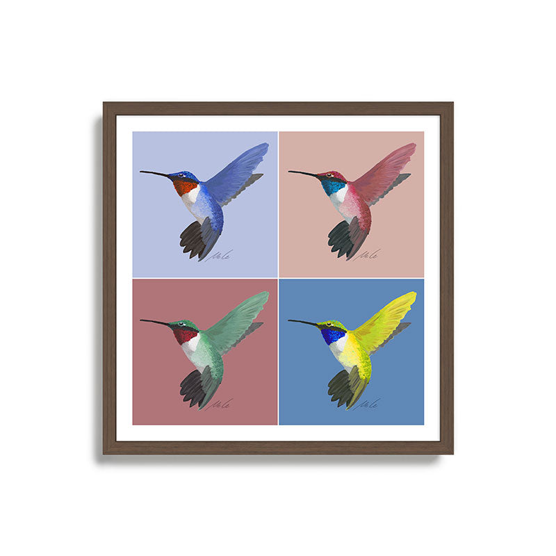 05 Blue, Red, Green, Yellow Hummingbird Framed Art Print