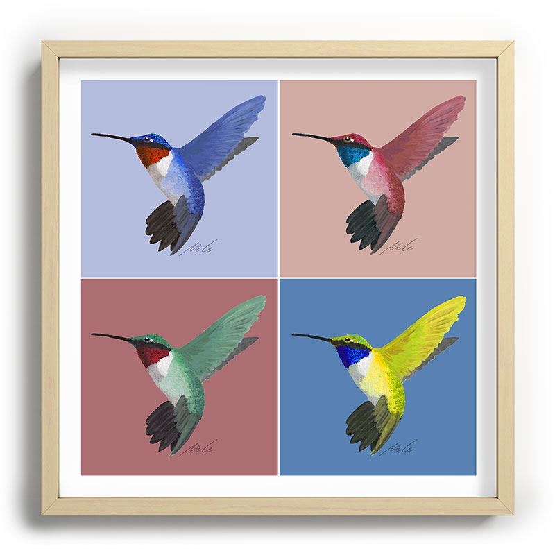 05 Blue, Red, Green, Yellow Hummingbird Framed Art Print