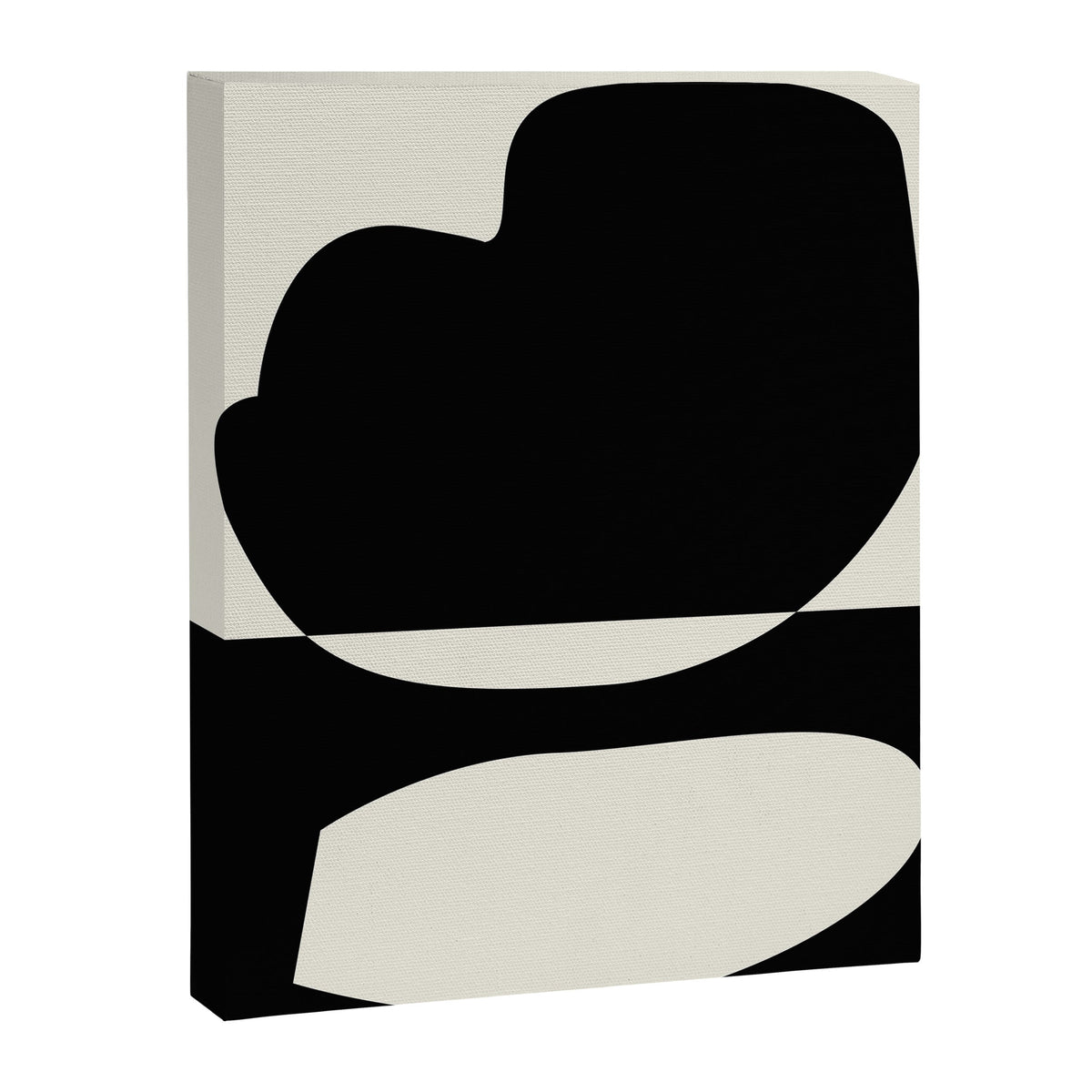 // Reverse 01 Canvas Print