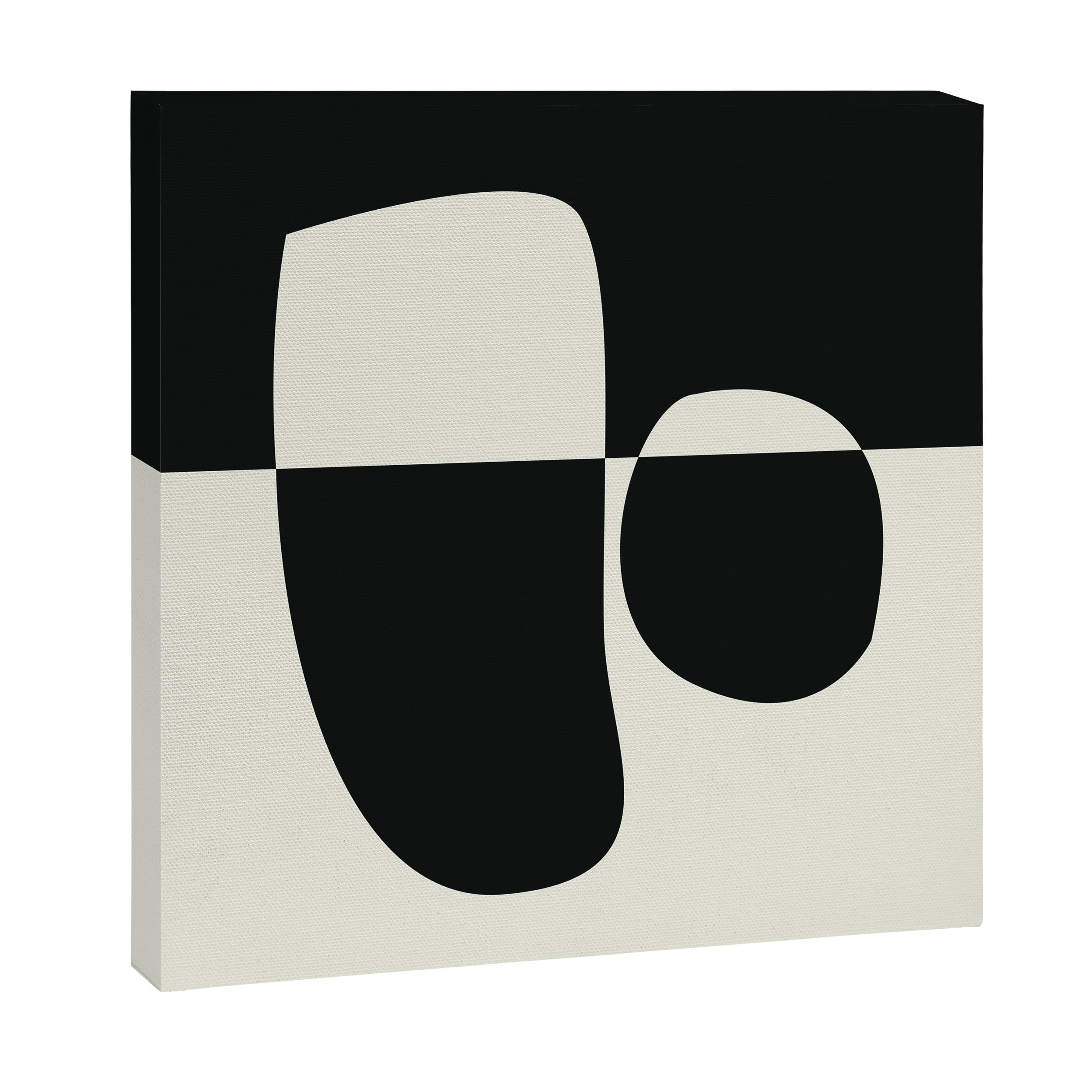 // Reverse 02 Canvas Print