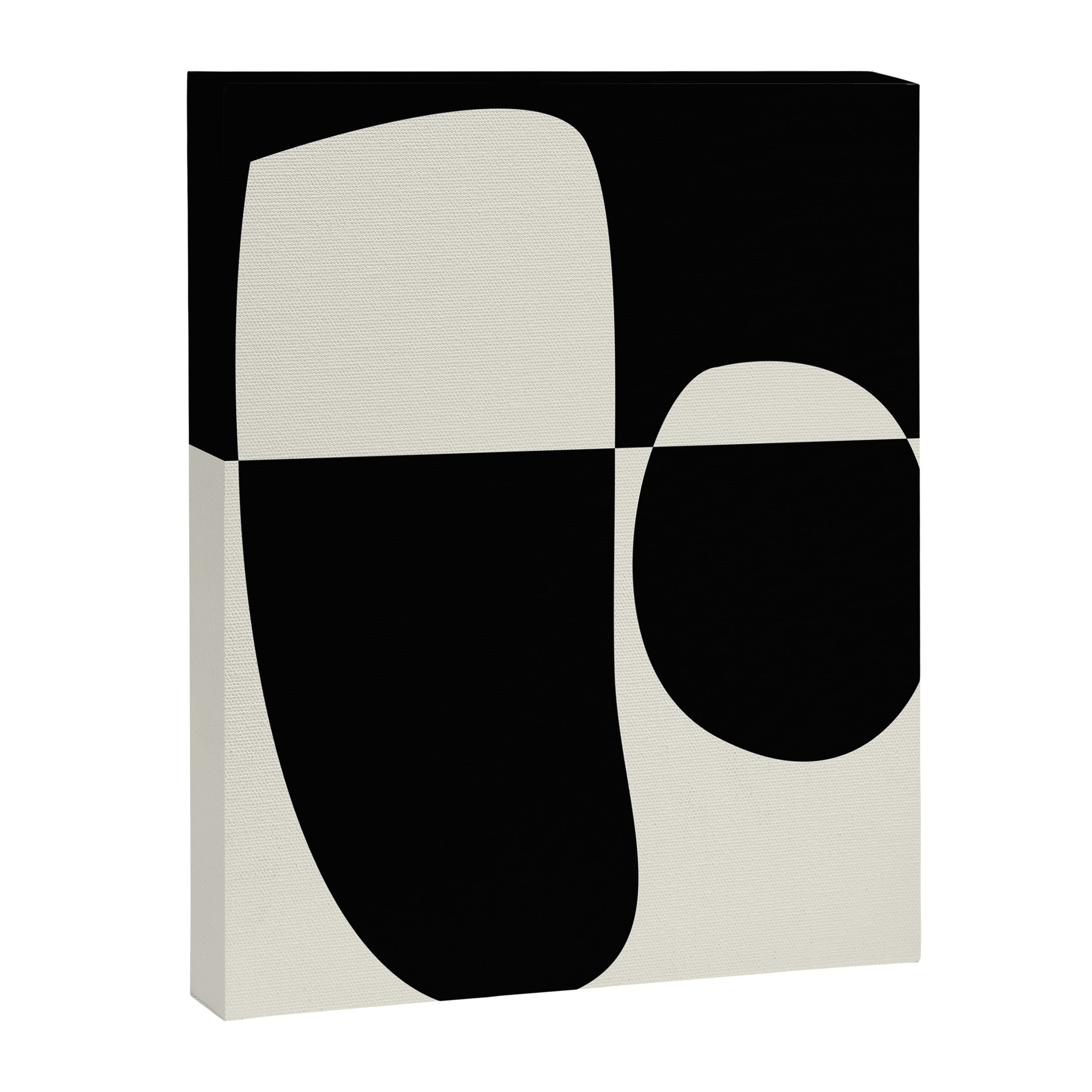 // Reverse 02 Canvas Print