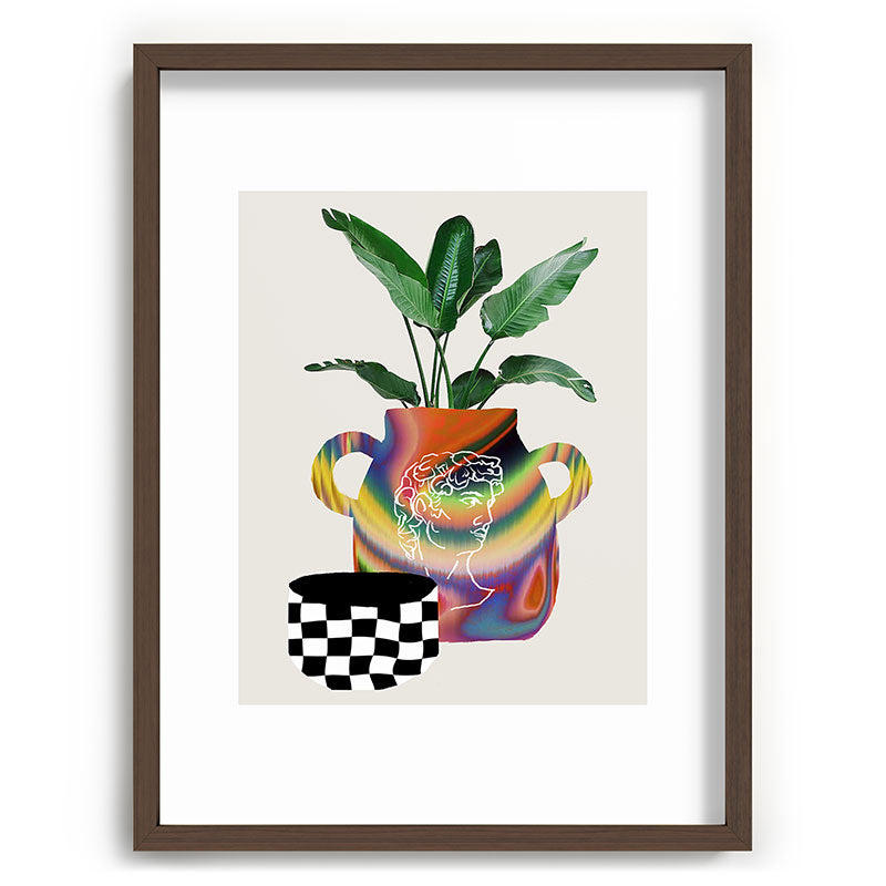 A house plant / Still life Framed Art Print