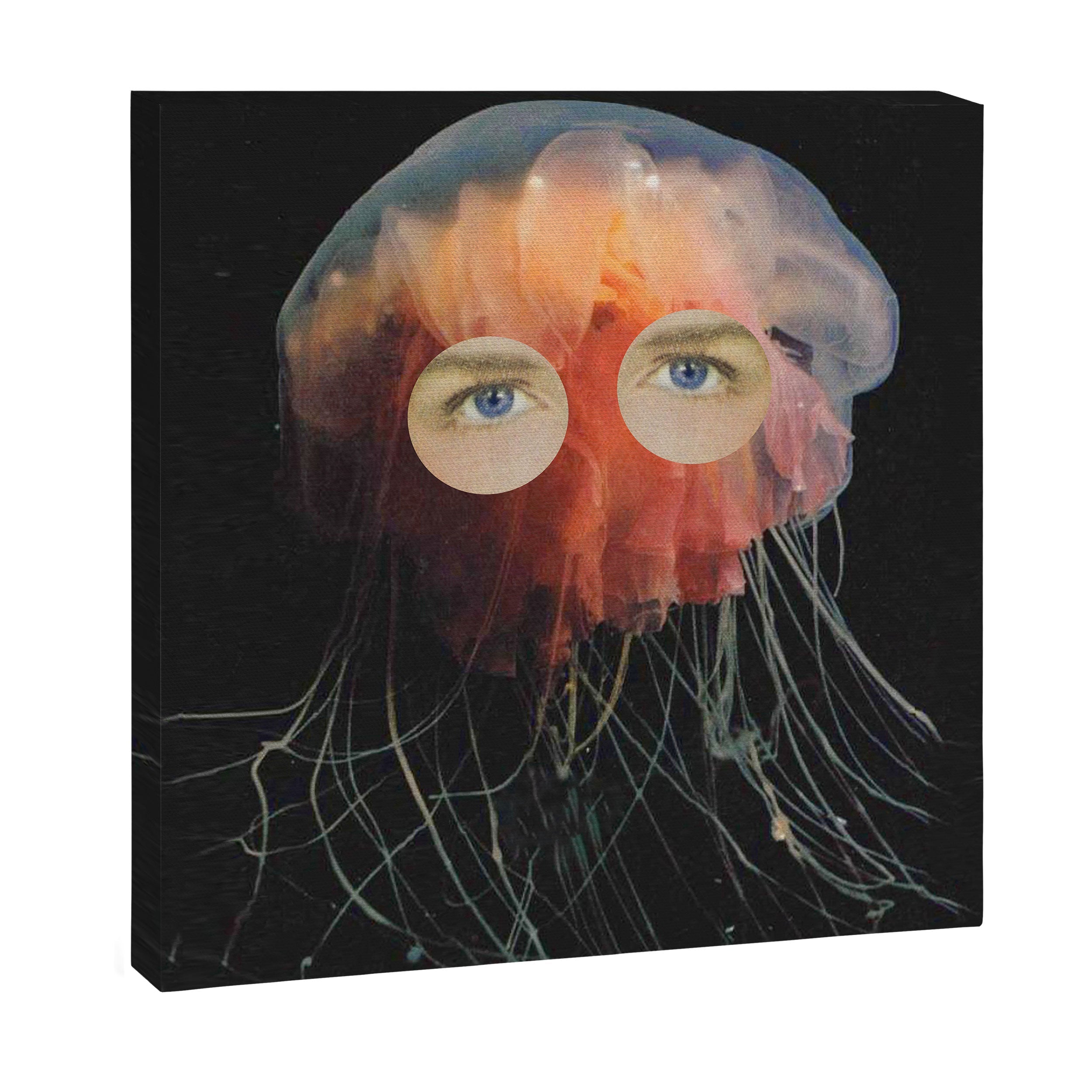 A (very) Jelly Fish Canvas Print