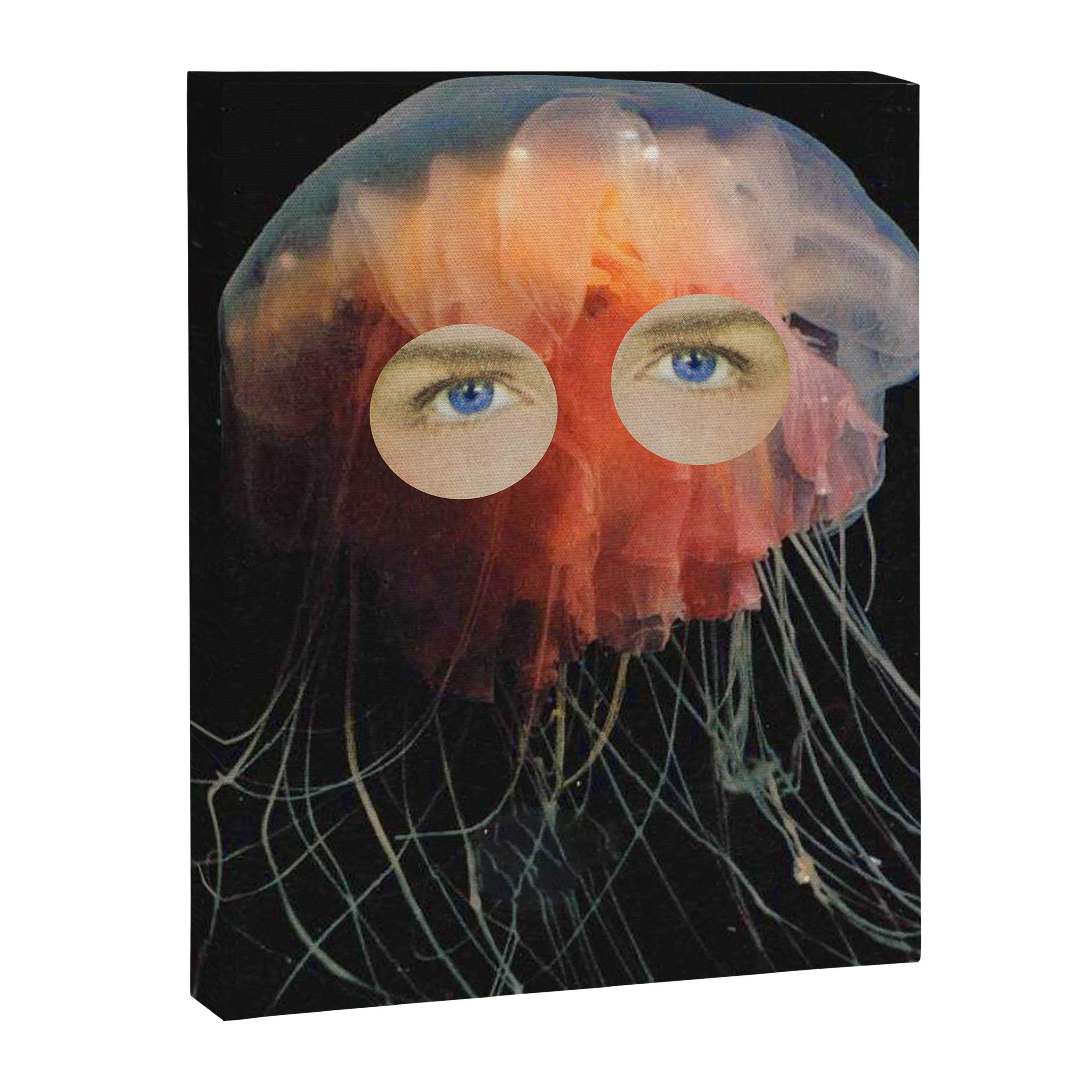 A (very) Jelly Fish Canvas Print