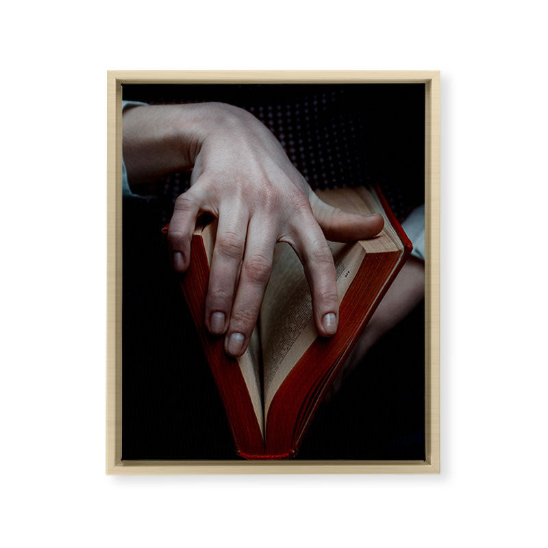 "V" doesn't mean Vendetta Framed Canvas Print