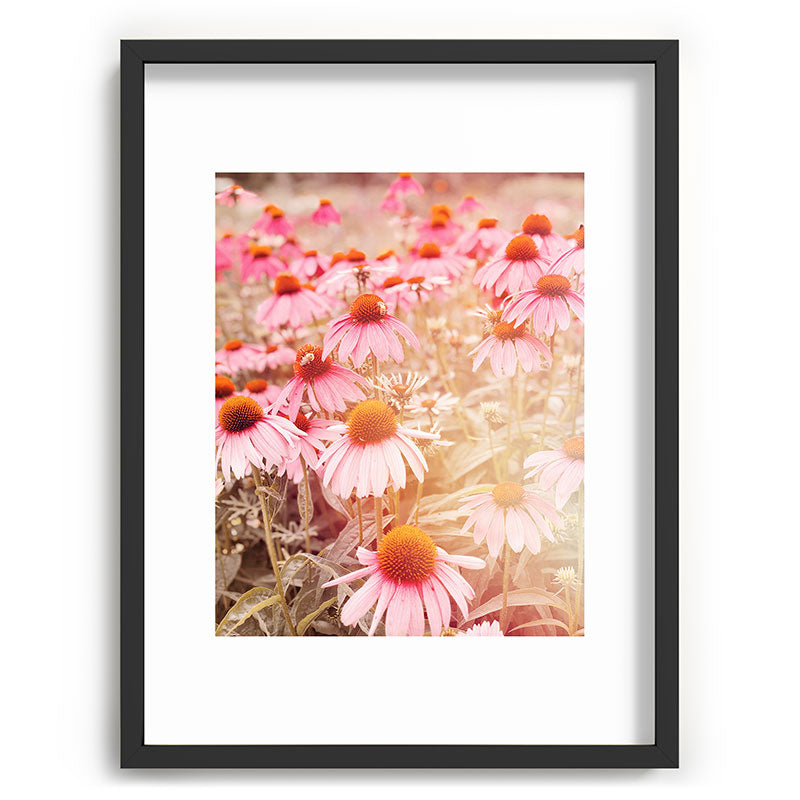 37 Flowers Framed Art Print