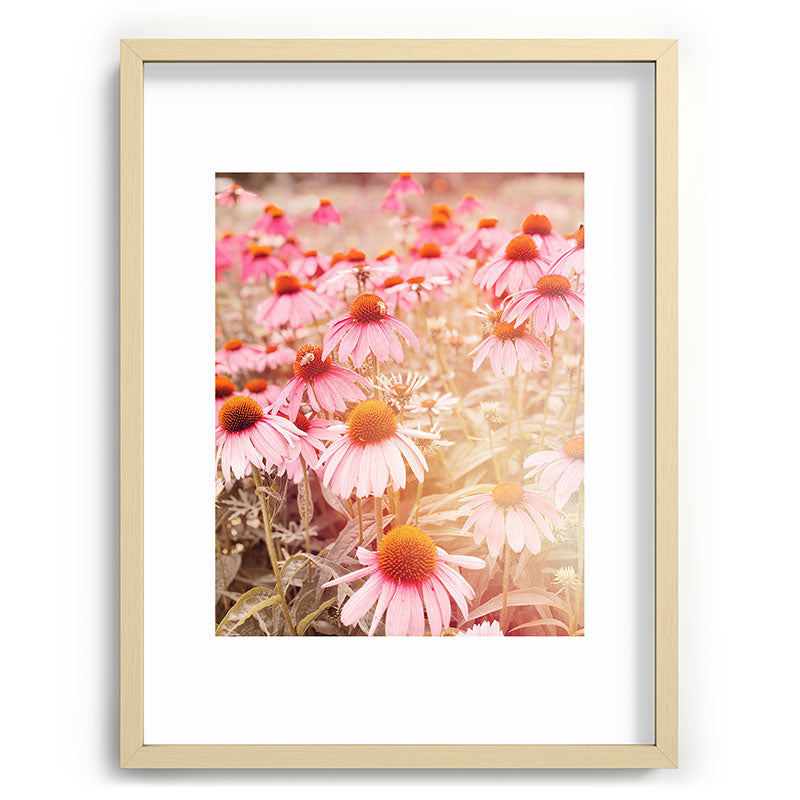 37 Flowers Framed Art Print
