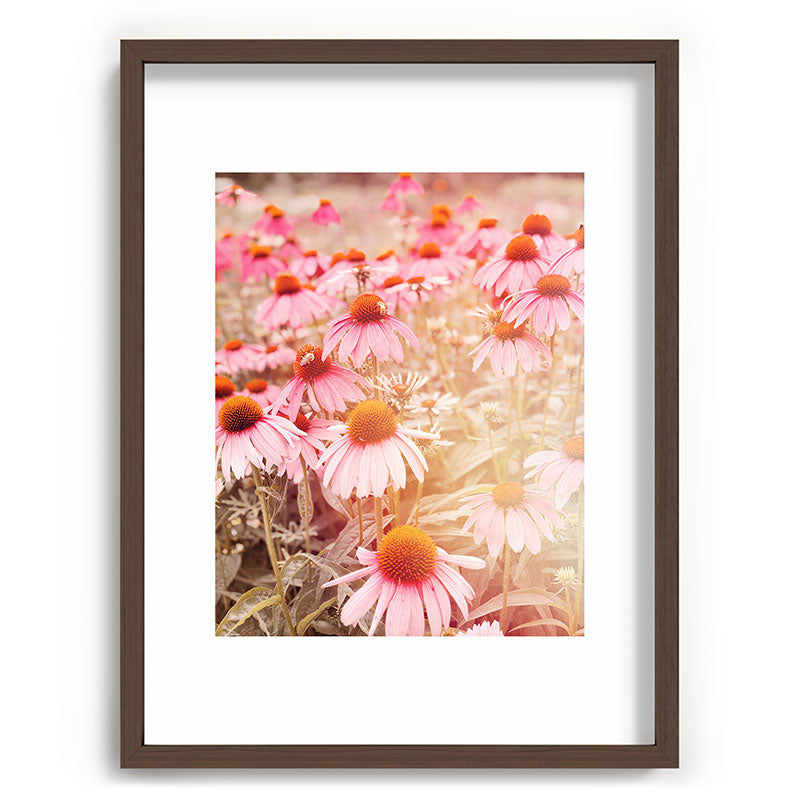 37 Flowers Framed Art Print
