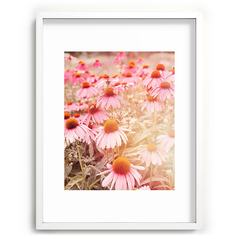 37 Flowers Framed Art Print