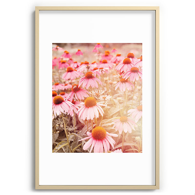 37 Flowers Framed Art Print