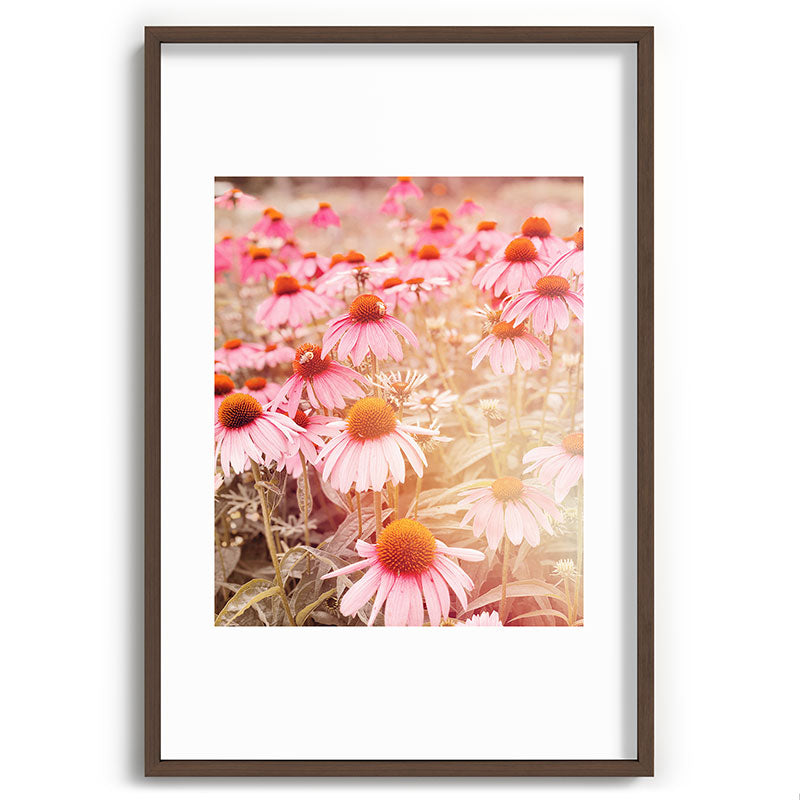 37 Flowers Framed Art Print
