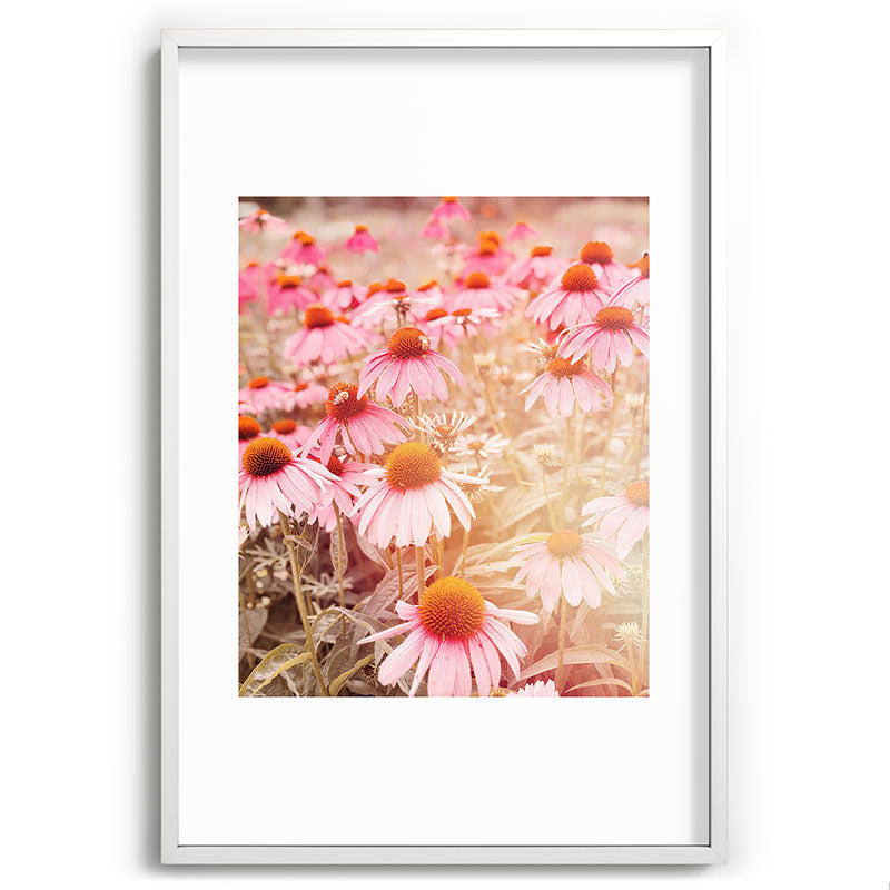 37 Flowers Framed Art Print