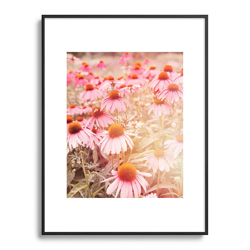 37 Flowers Framed Art Print