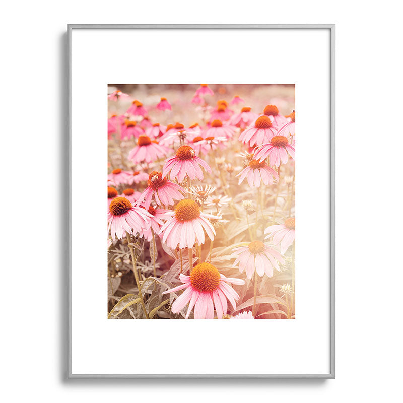 37 Flowers Framed Art Print