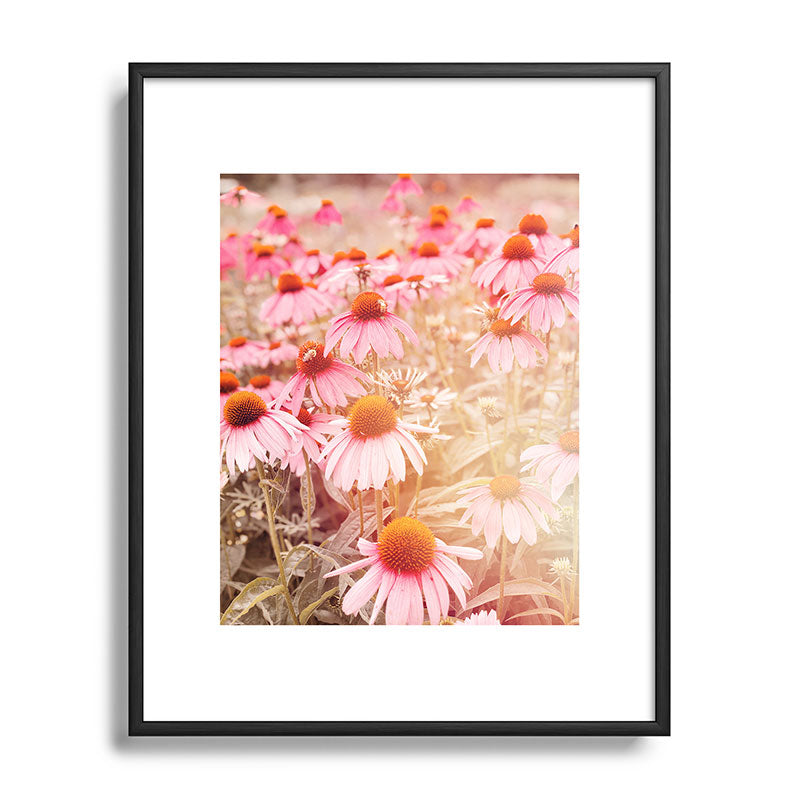 37 Flowers Framed Art Print