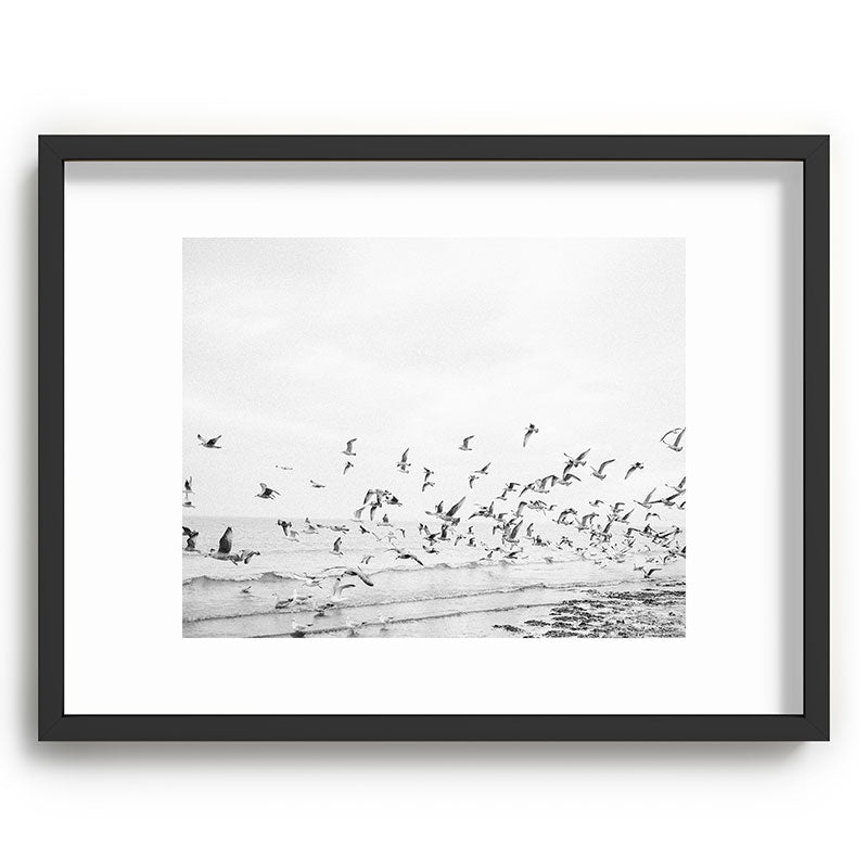 "Seagulls" | Coastal black and white photo | Film photography | Beach Framed Art Print