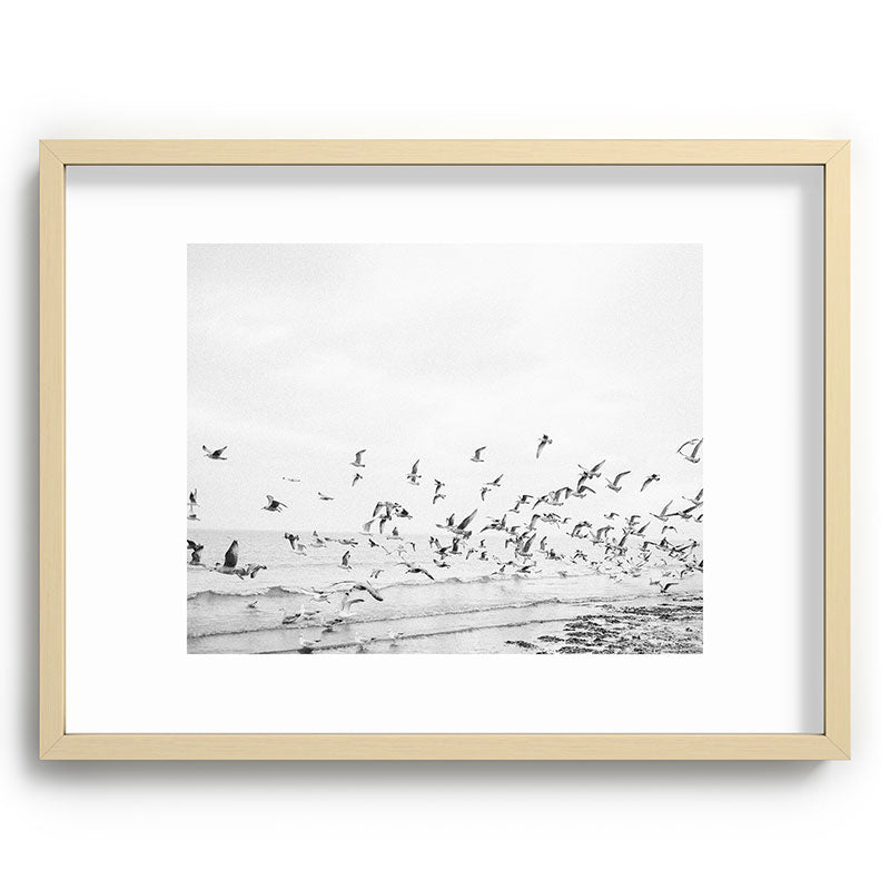 "Seagulls" | Coastal black and white photo | Film photography | Beach Framed Art Print