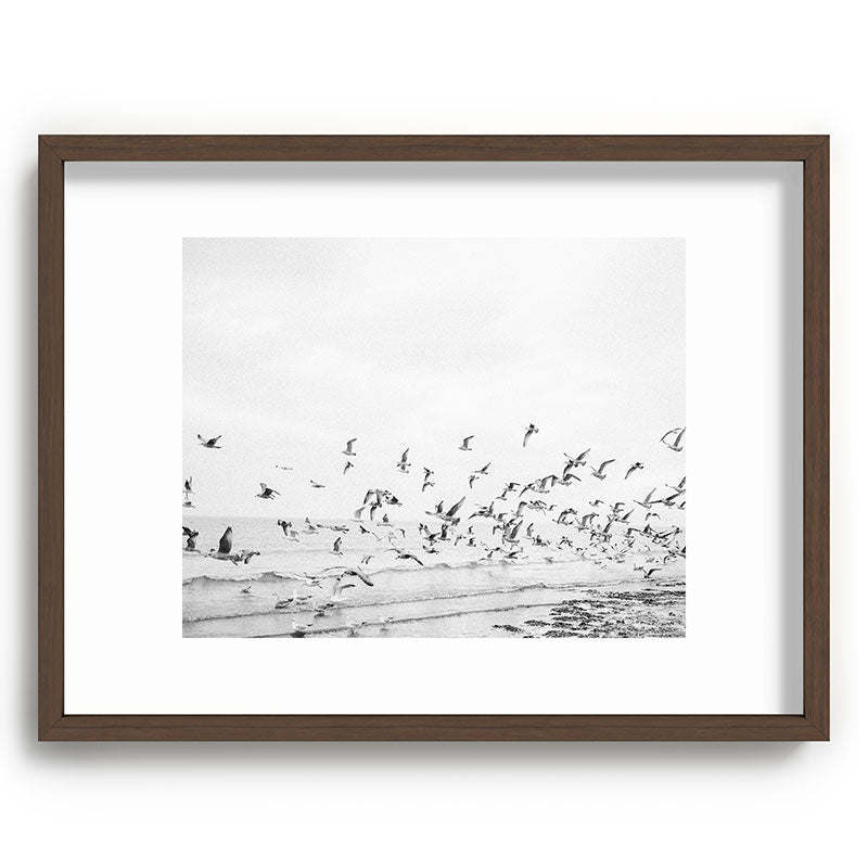 "Seagulls" | Coastal black and white photo | Film photography | Beach Framed Art Print