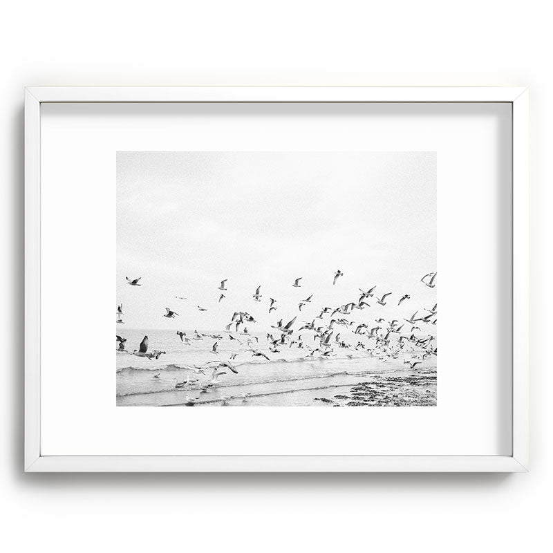 "Seagulls" | Coastal black and white photo | Film photography | Beach Framed Art Print