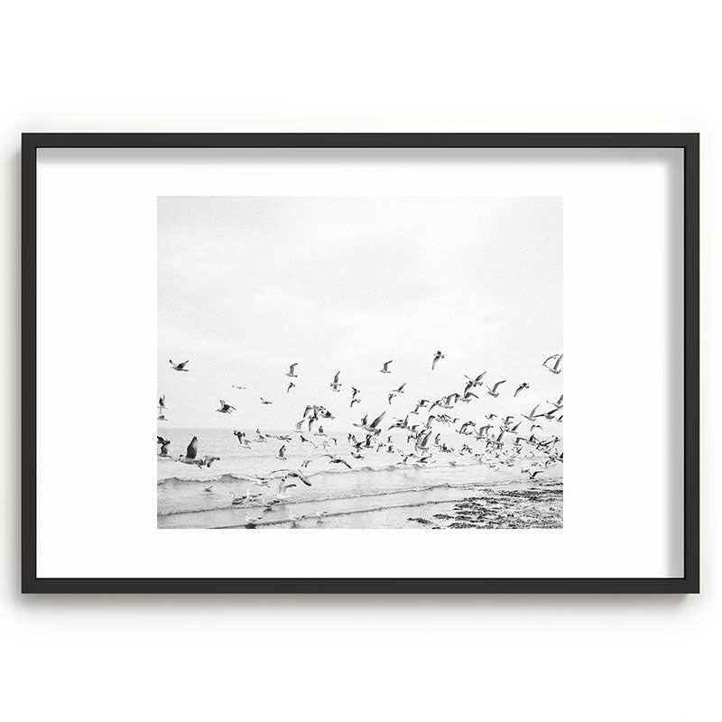 "Seagulls" | Coastal black and white photo | Film photography | Beach Framed Art Print