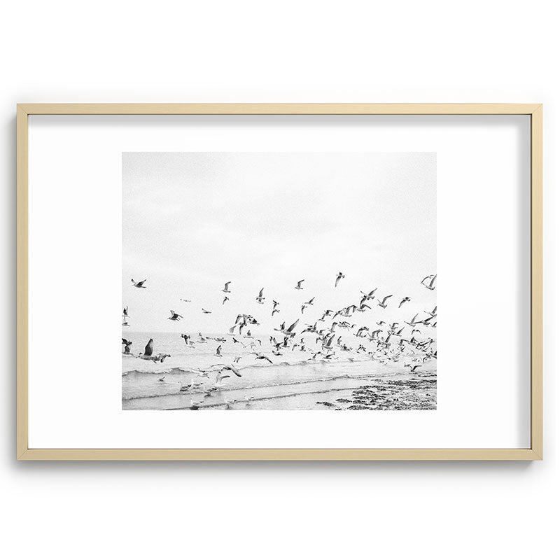 "Seagulls" | Coastal black and white photo | Film photography | Beach Framed Art Print