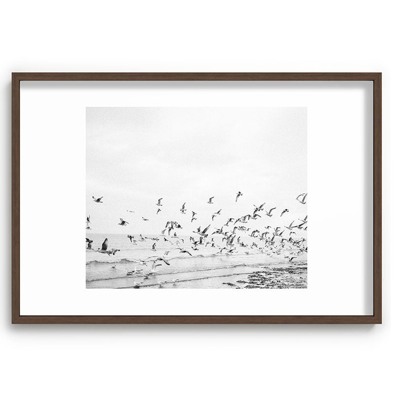 "Seagulls" | Coastal black and white photo | Film photography | Beach Framed Art Print