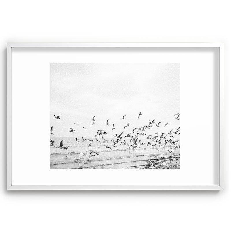 "Seagulls" | Coastal black and white photo | Film photography | Beach Framed Art Print