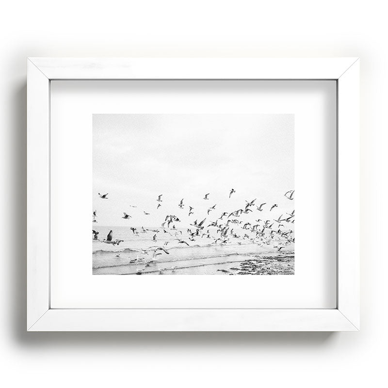 "Seagulls" | Coastal black and white photo | Film photography | Beach Framed Art Print