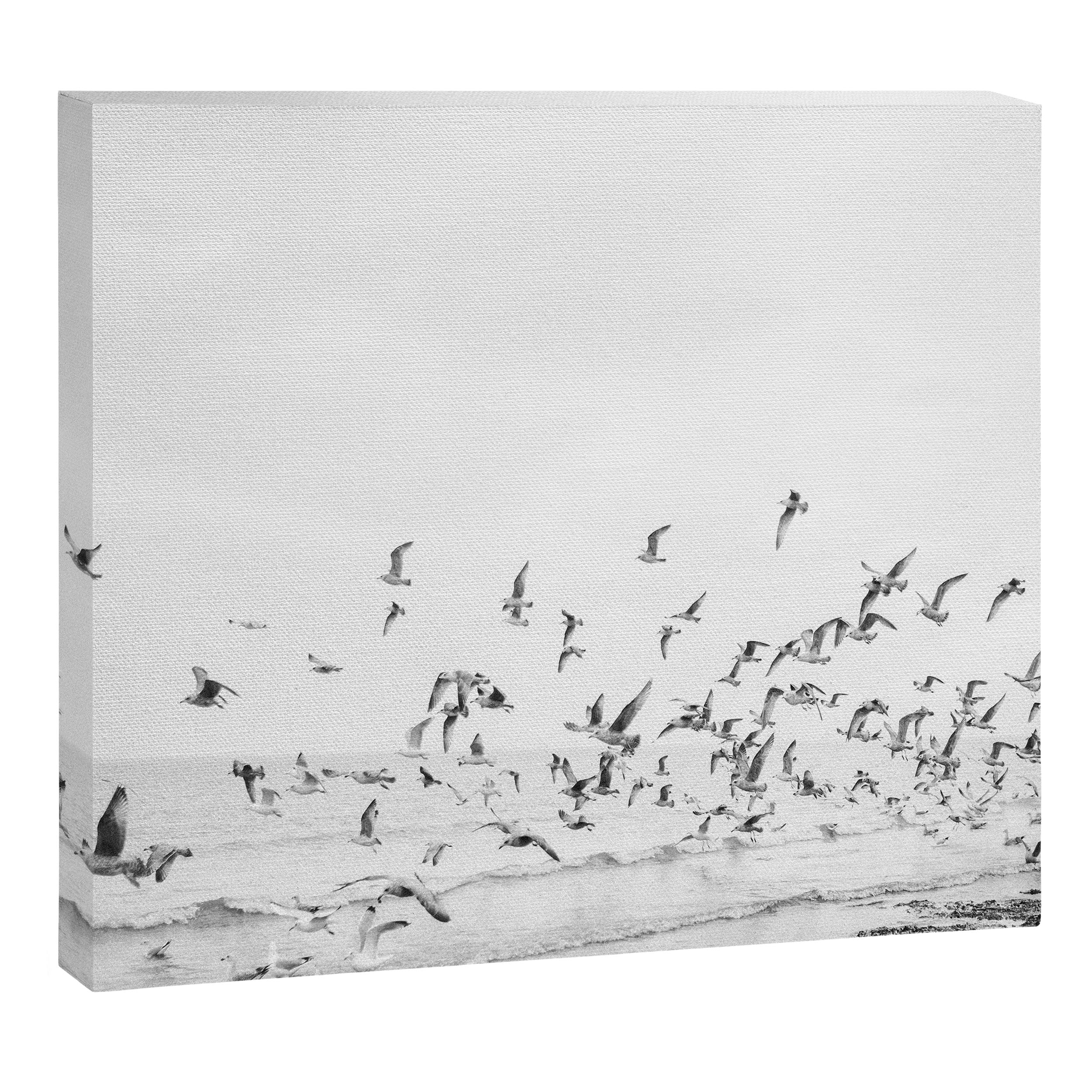 "Seagulls" | Coastal black and white photo | Film photography | Beach Canvas Print