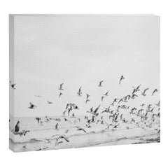 "Seagulls" | Coastal black and white photo | Film photography | Beach Canvas Print